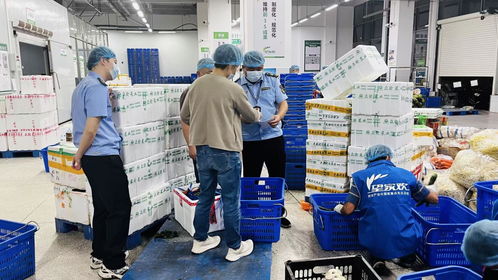 株洲市芦淞区多部门联动双轨监督 筑牢校园食品安全防线